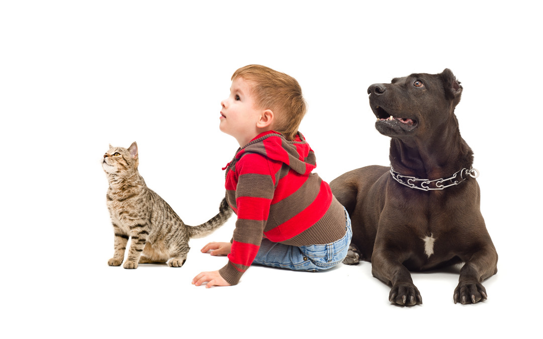 8 Surprising Home Dangers for Children and Pets
